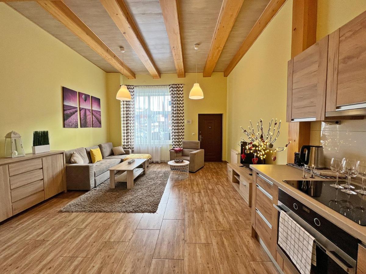 Apartamenty Mountain View - Bezplatny Parking Krynica Zdroj Exterior foto